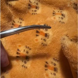 Threadless anatometal yellow gold stars